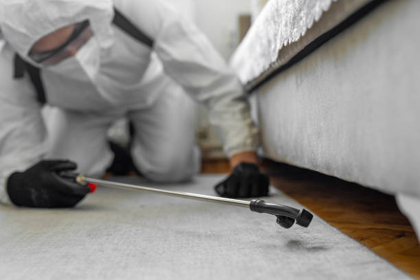 Professional Termite Control technician working in Siloam Springs, AR