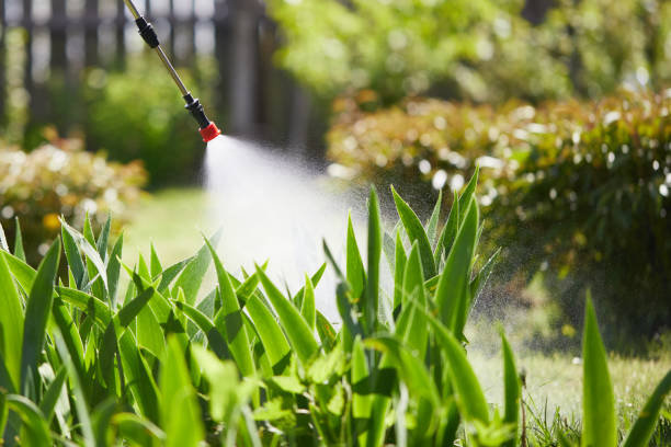 24/7 Emergency Termite Control experts in Siloam Springs, AR