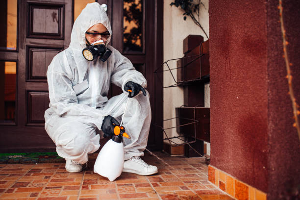 Reliable Termite Control contractor in Siloam Springs, AR by Nex Pest Control