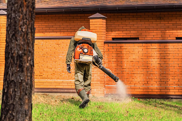 Trusted Mosquito Control service in Siloam Springs, AR - Nex Pest Control